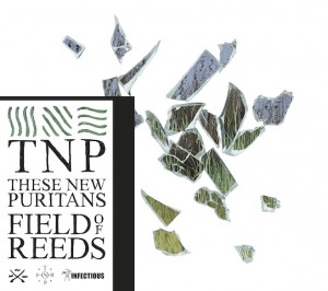 These-New-Puritans-Field-of-Reeds