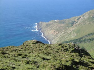 frouxeira 1