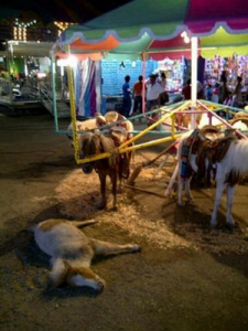 poni3