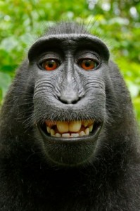 selfie
