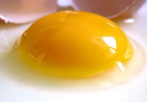 huevo-composicion-metabolicas-sant-joan-deu