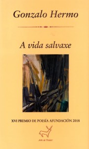 Cuberta_XVI_Premio_Poesía_Afundación